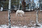 006_2009-0214-1349-30.jpg